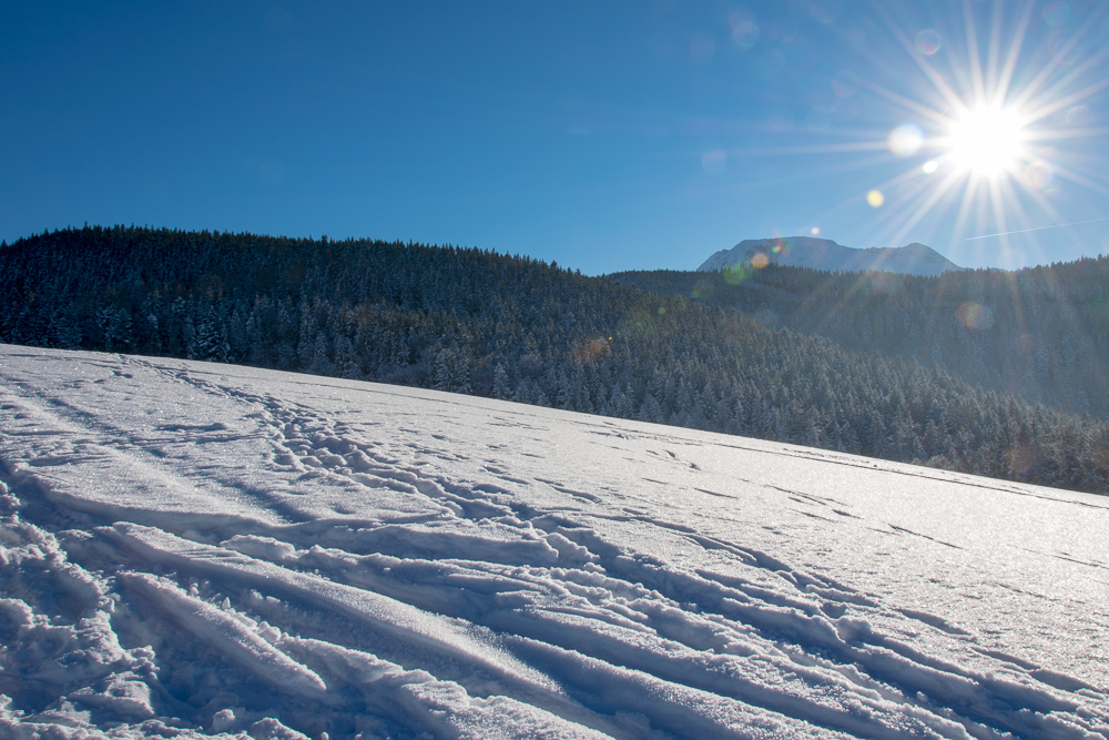 Winter 17 Fürmann Alm 0117 1