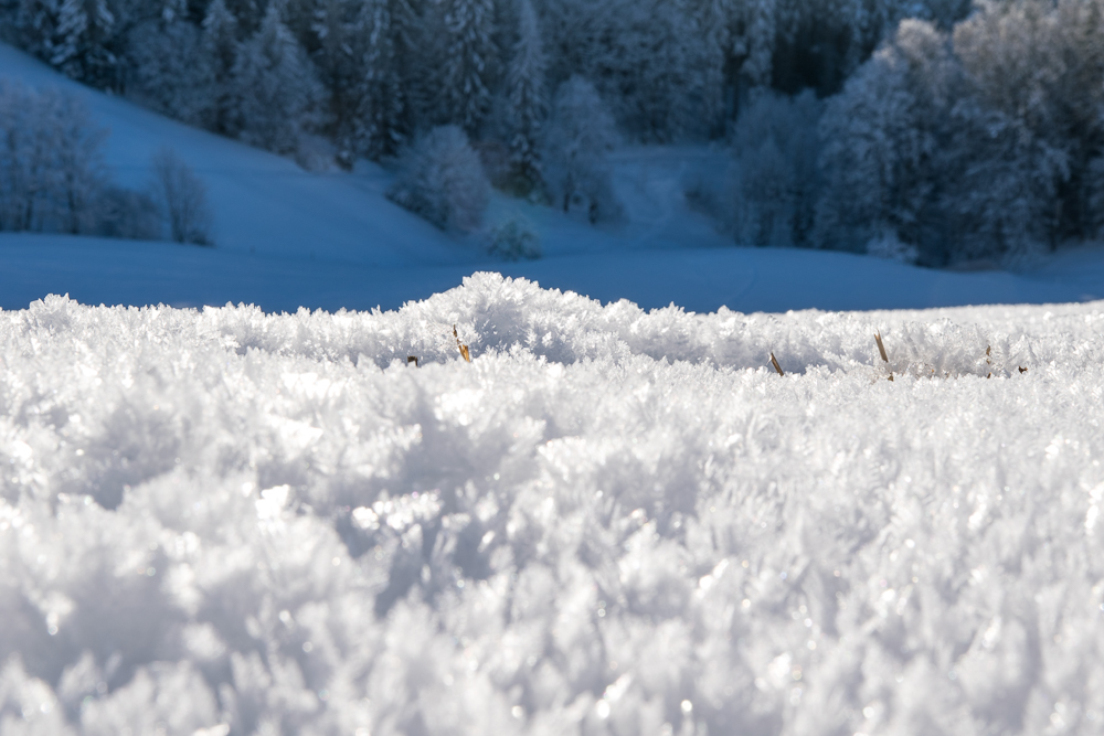 Winter 17 Fürmann Alm 0123 9