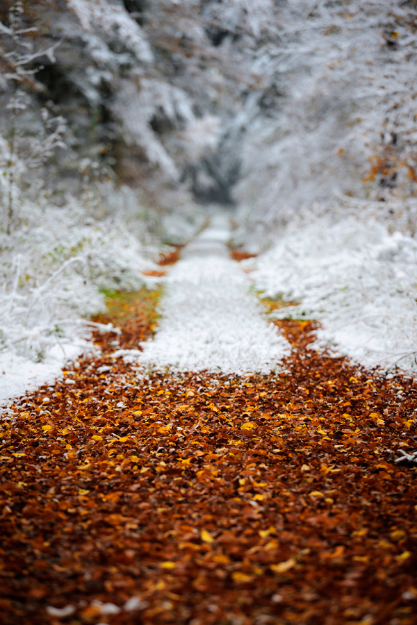 winter 2