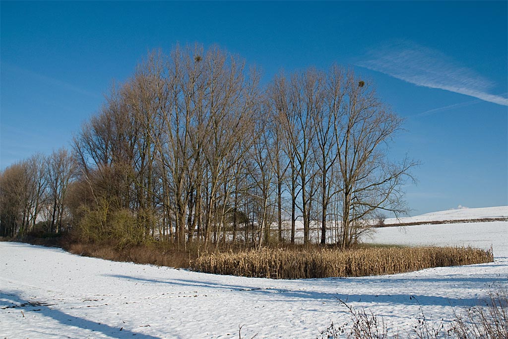 Winter 2010   02