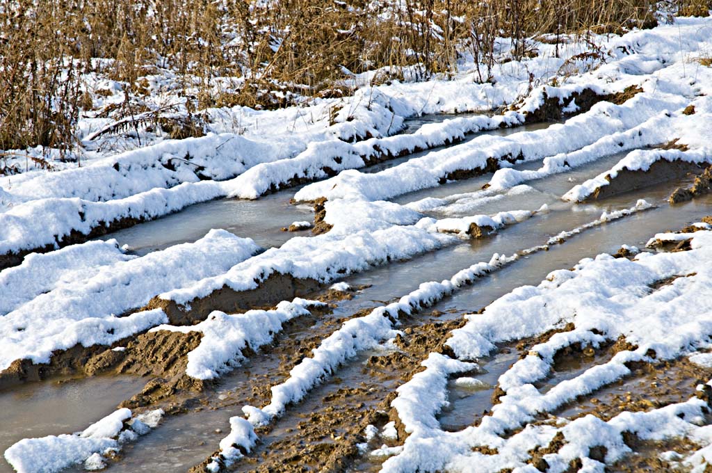Winter 2010   04