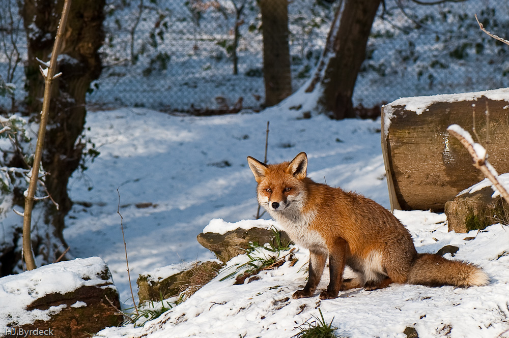 Winter 2010 050