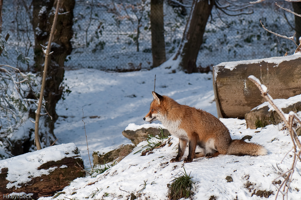 Winter 2010 051