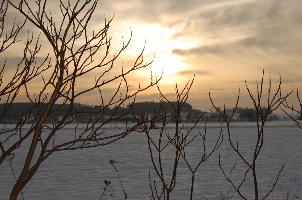 Winter 2010