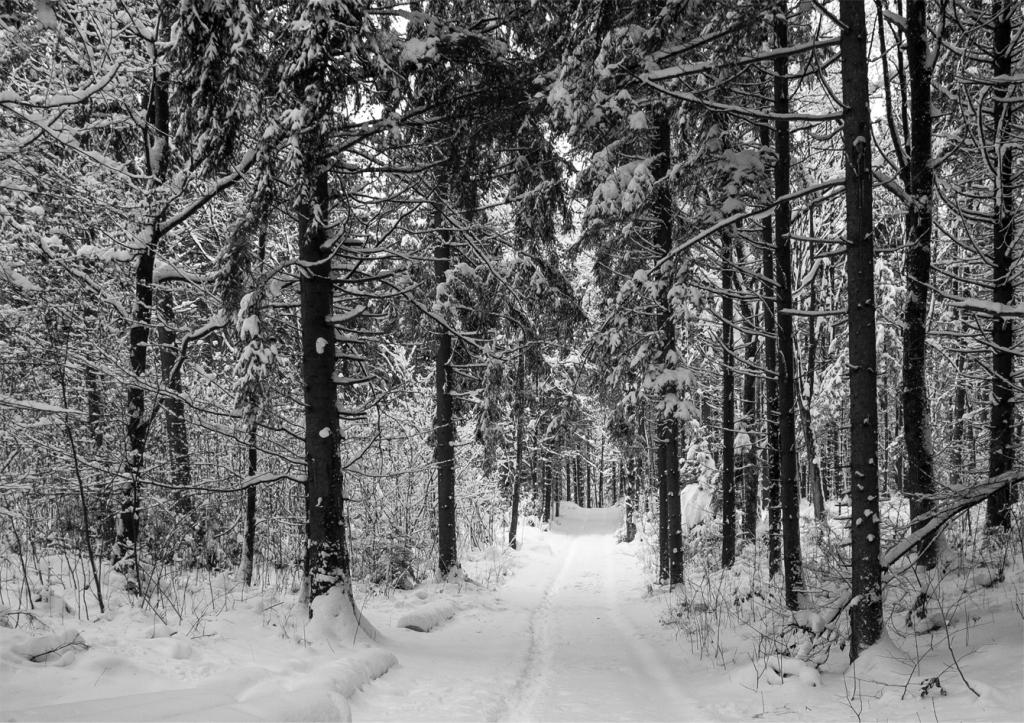 Winter 2015