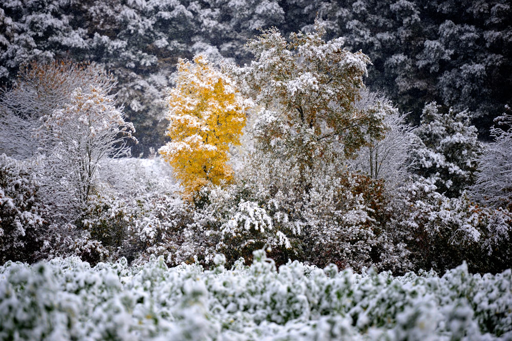 winter 3