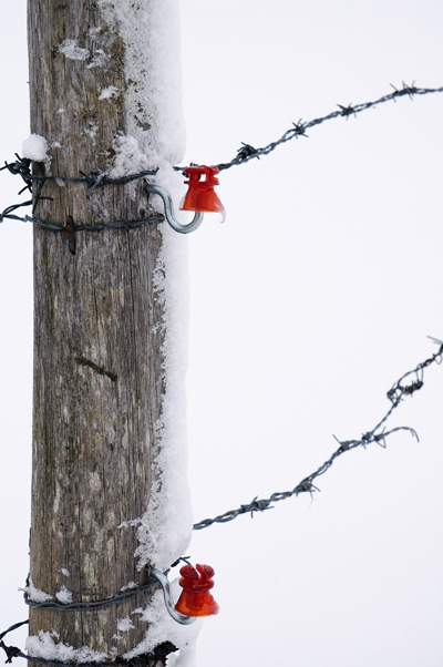 Winter 3