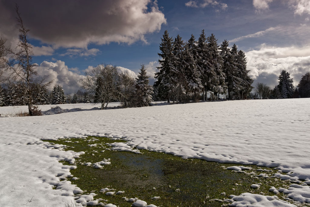 Winter 3141