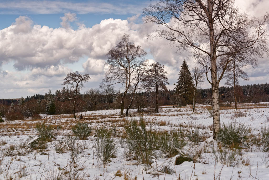 Winter 3162