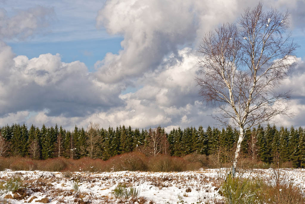 Winter 3186