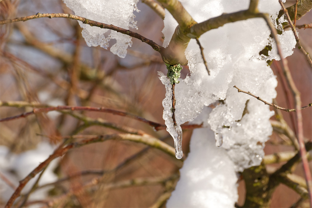 Winter 3191
