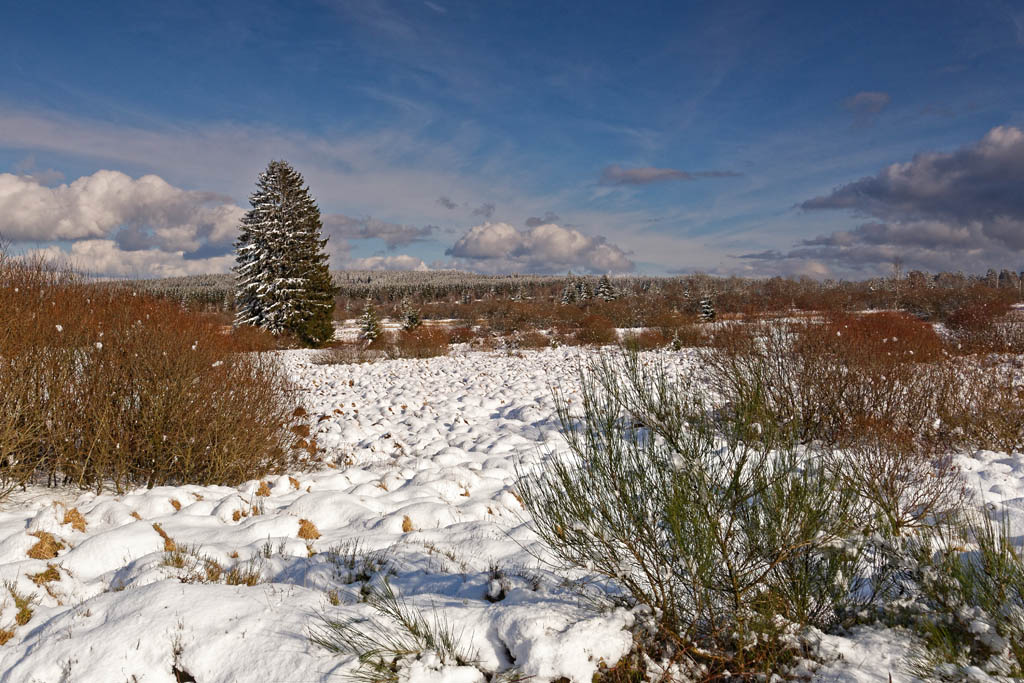 Winter 3214