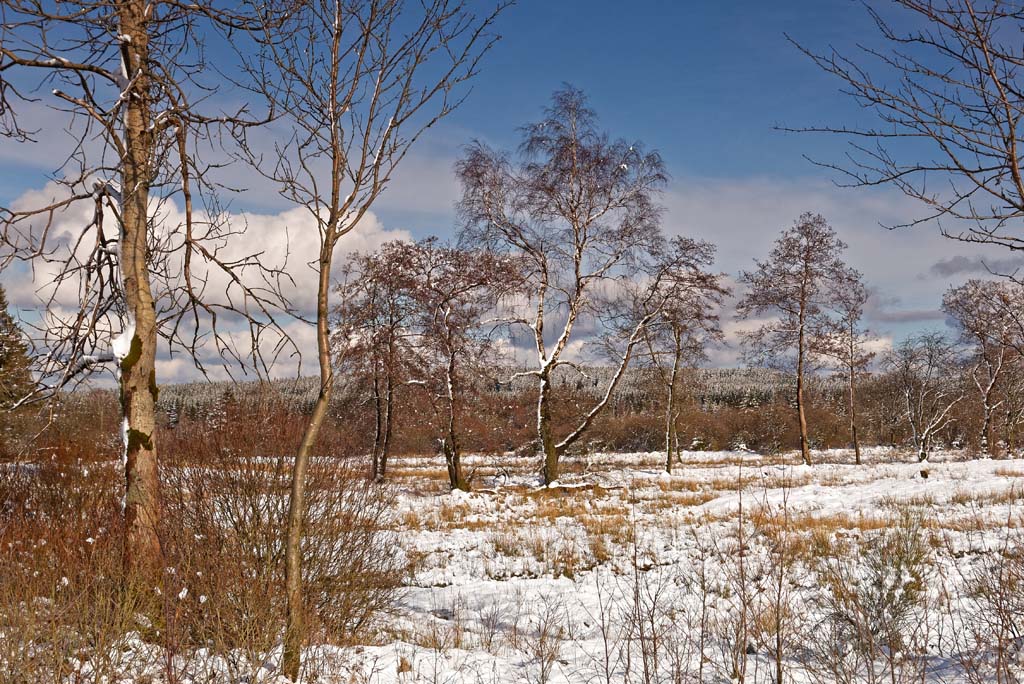 Winter 3220