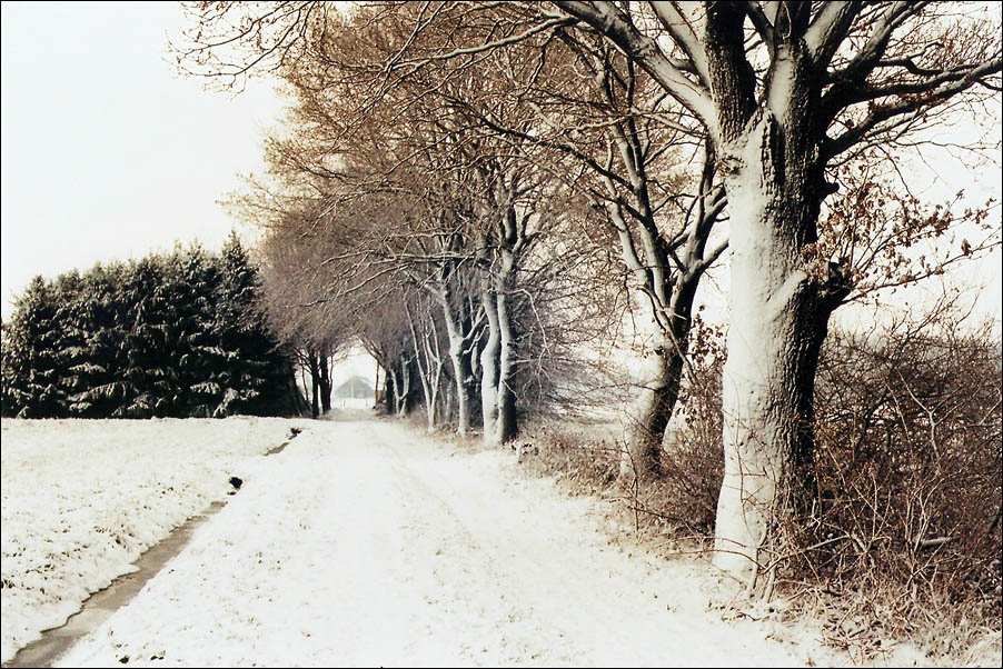 Winter am Niederrhein