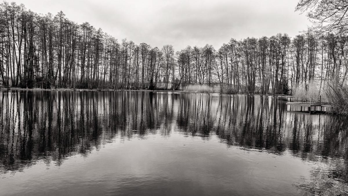 Winter am See