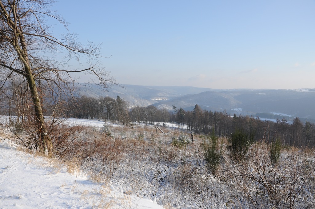 Winter Eifel