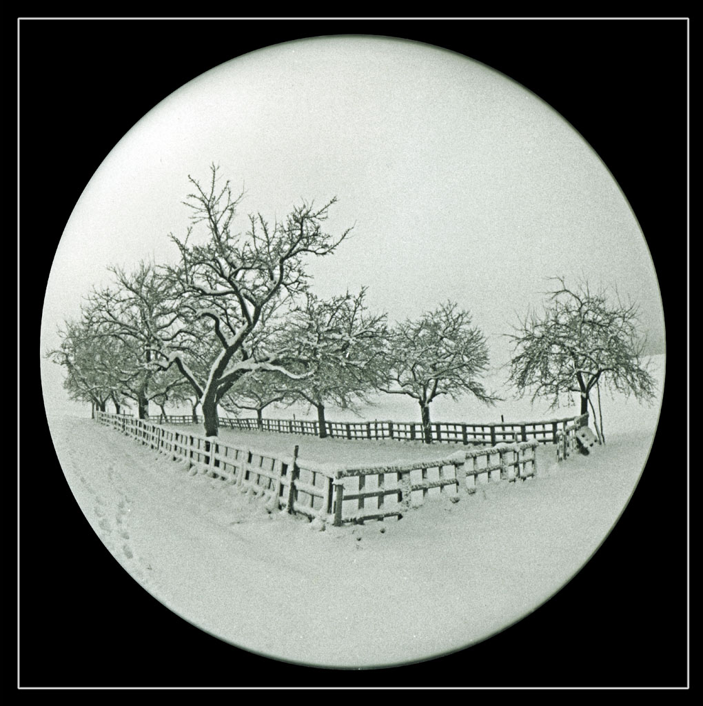 winter fisheye n