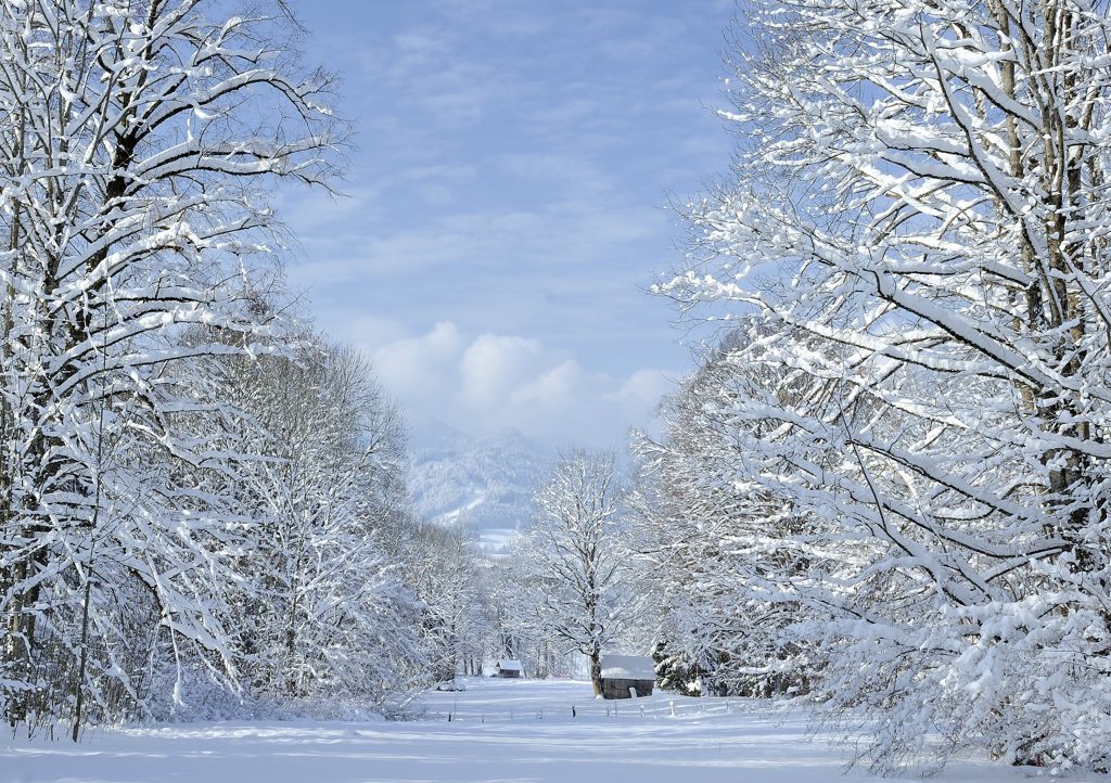 Winter im Isarwinkel