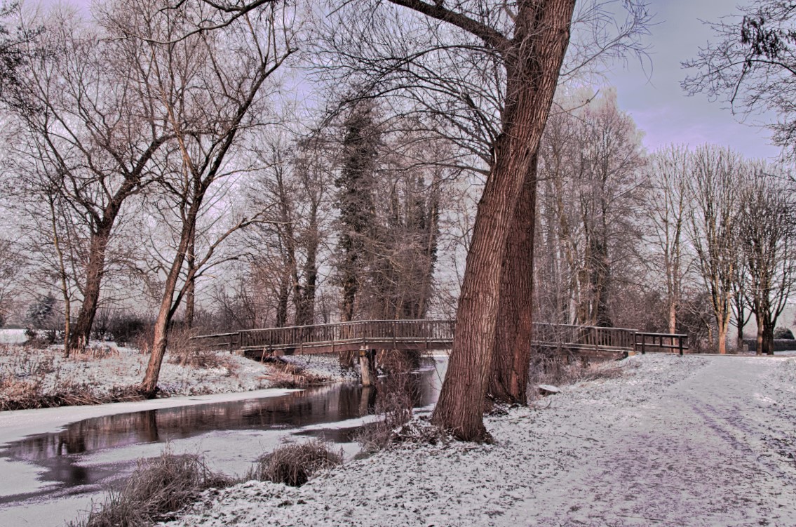 Winter im Park -.jpg
