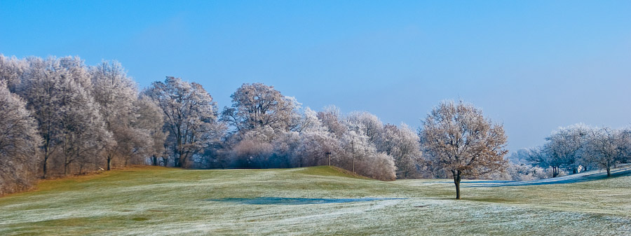 Winter im Park
