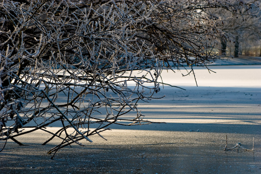Winter im Park