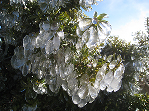 Winter Impression Mount Taranaki - North Island