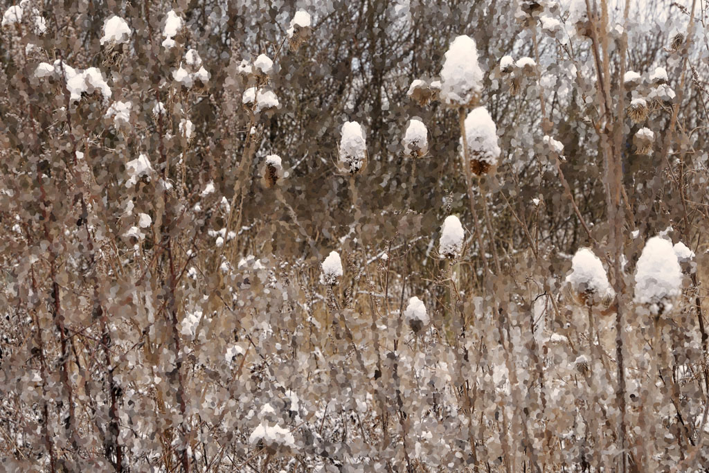 Winter - Impressionen