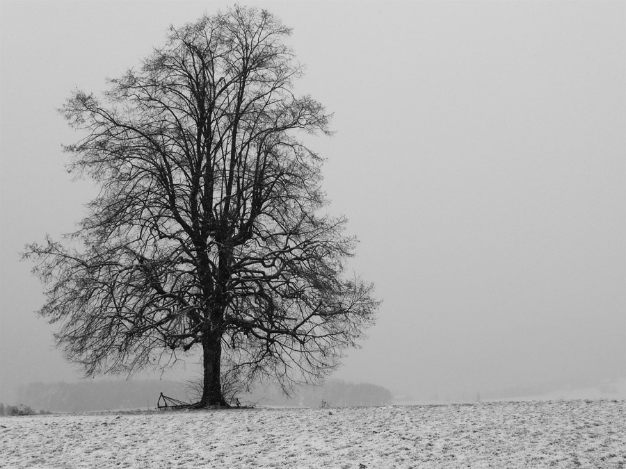 Winter in Anwil