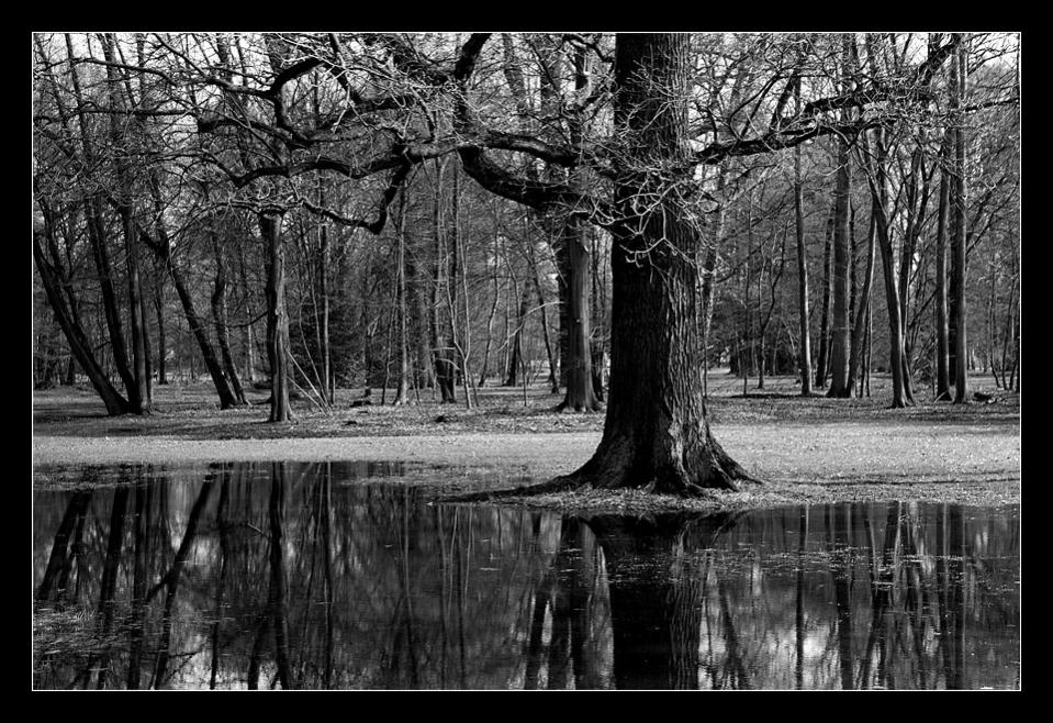 Winter in der Orangerie Kassel