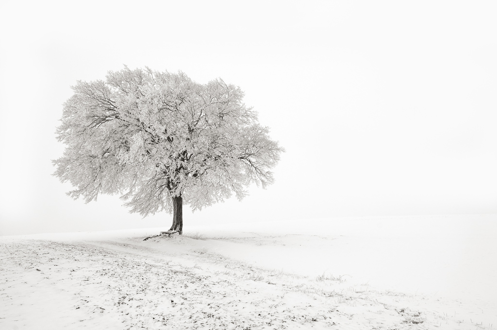 Winter in Lippe