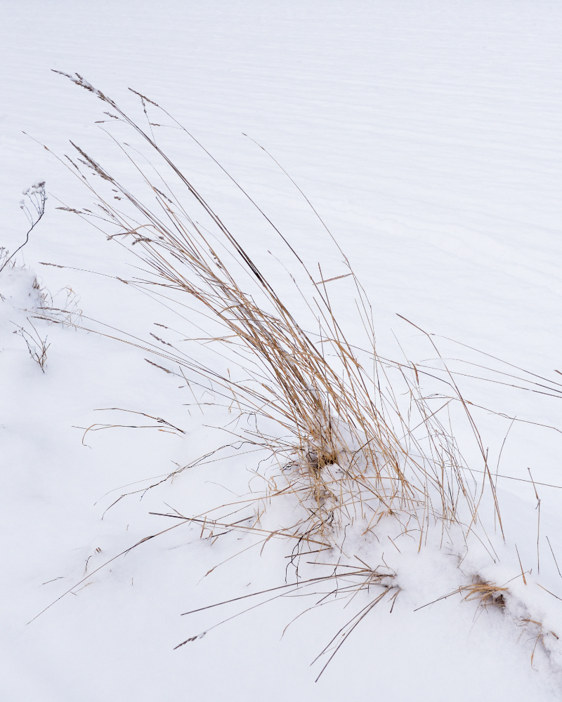 Winter in Traiskirchen
