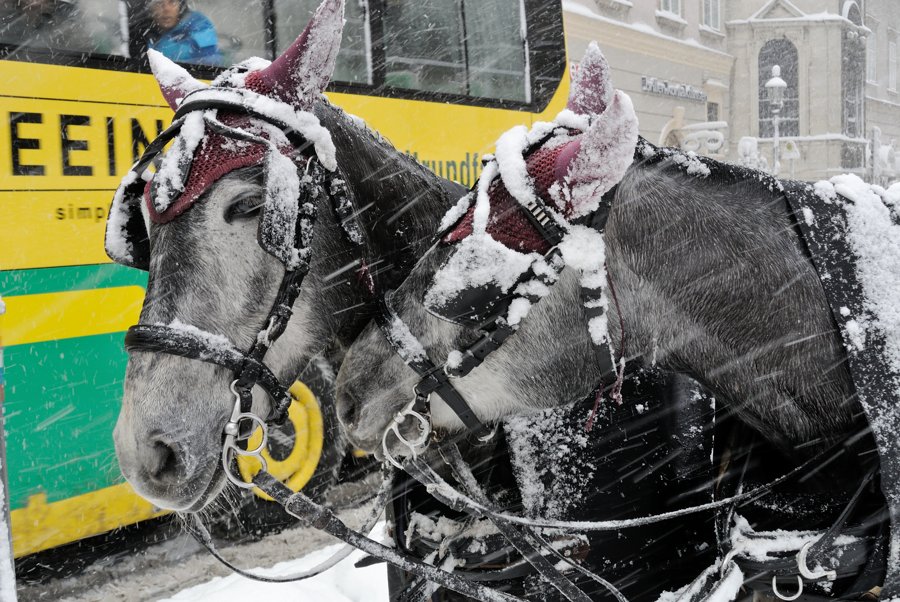 Winter in Wien 1/2013 DSC 1594c