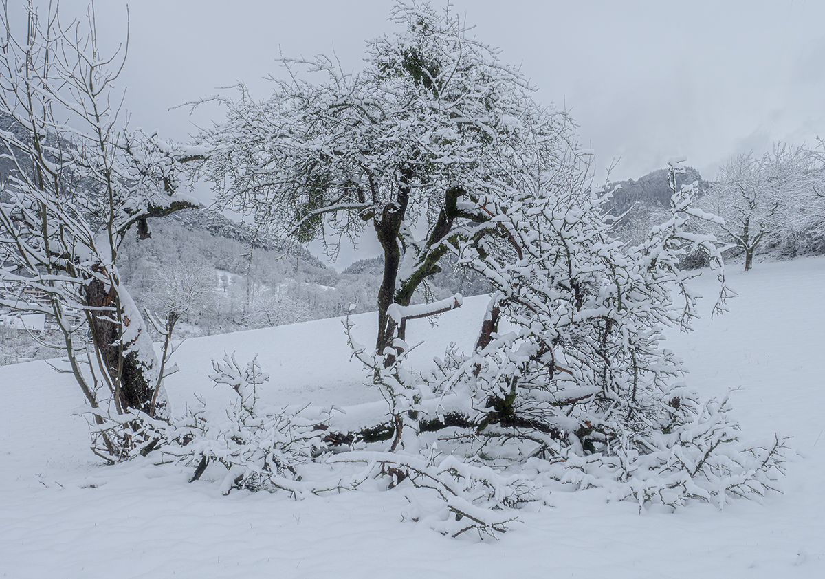 Winter.jpg