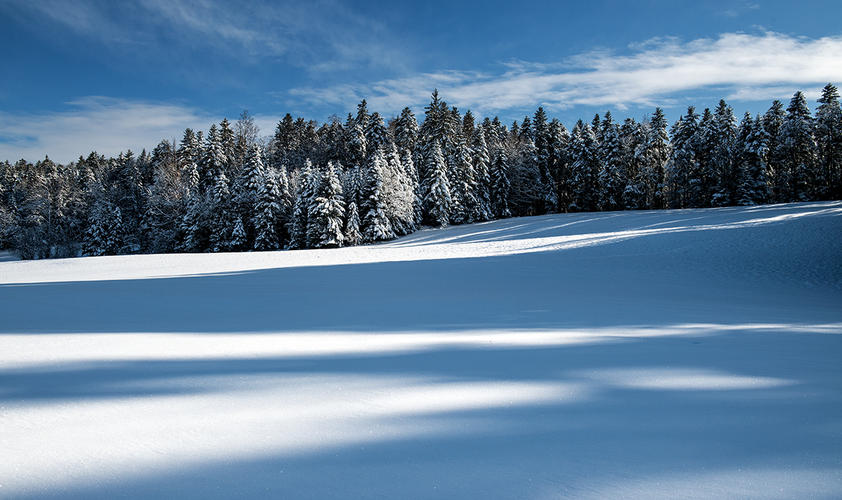 Winter.jpg