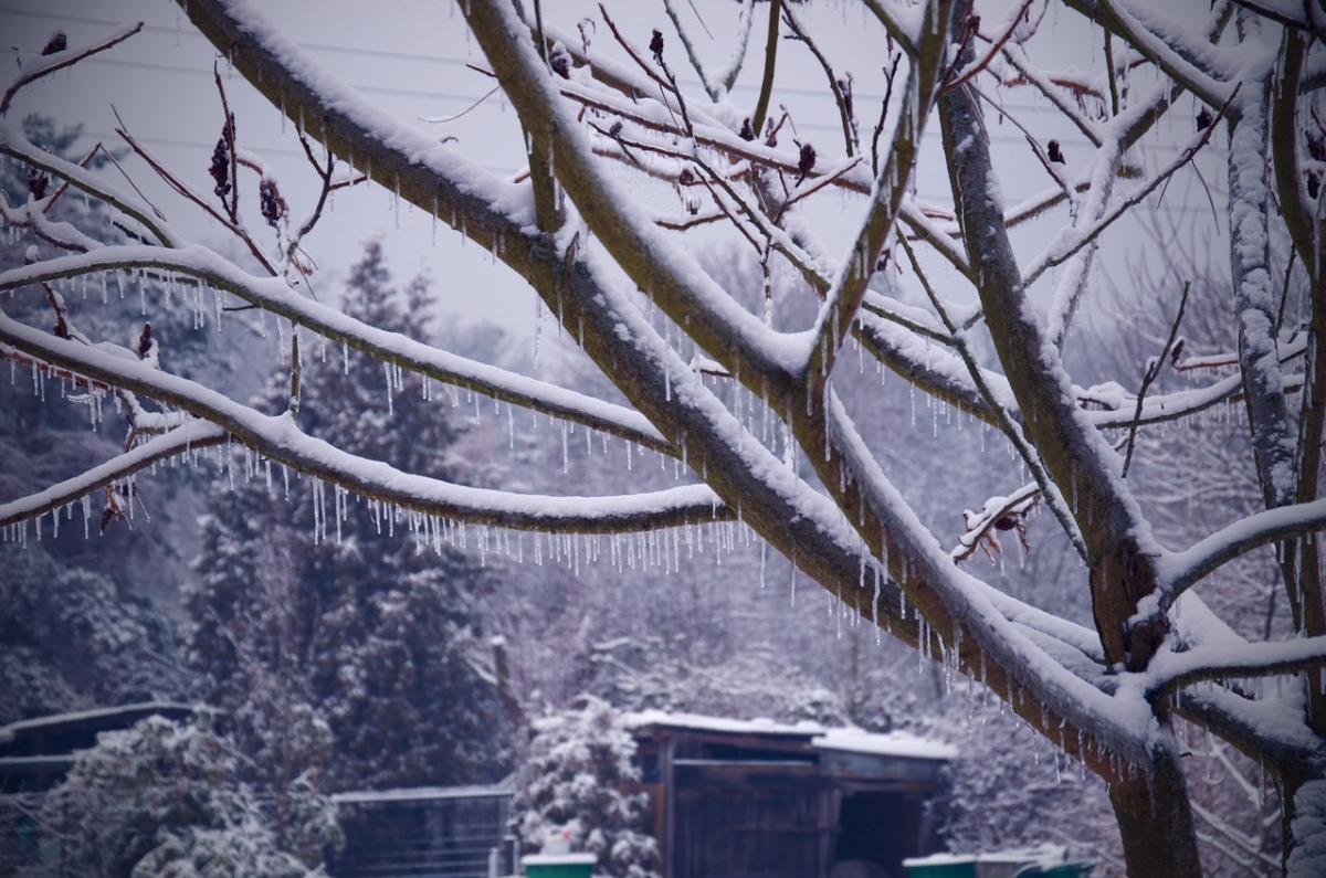 Winter mood