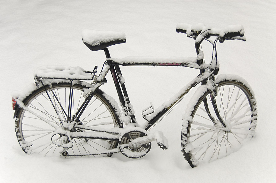 Winter Velo