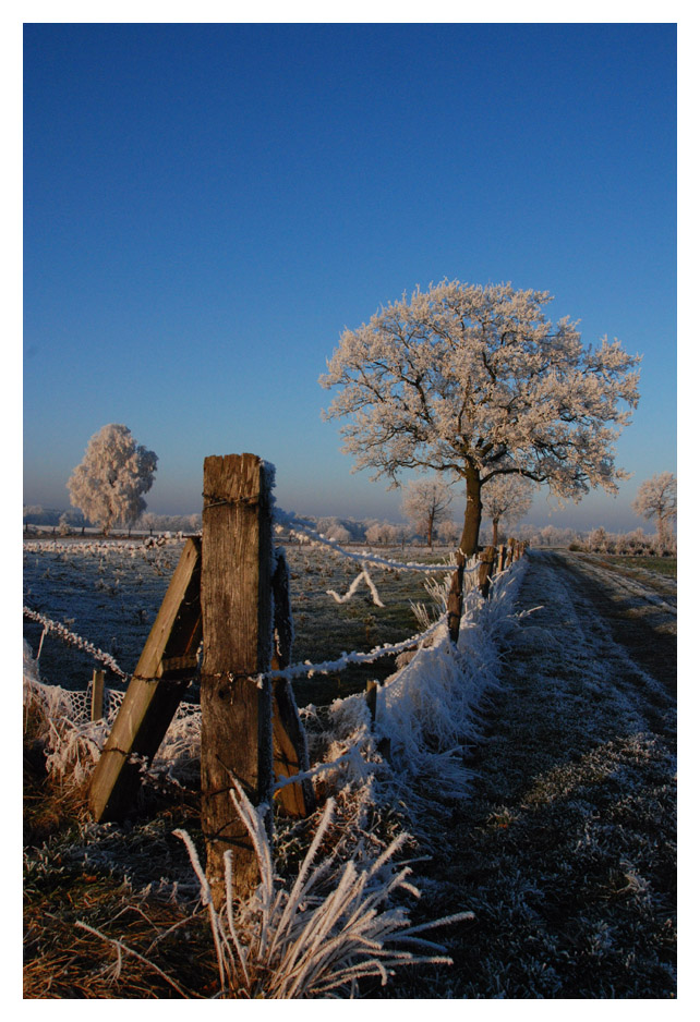 Winter Zaun