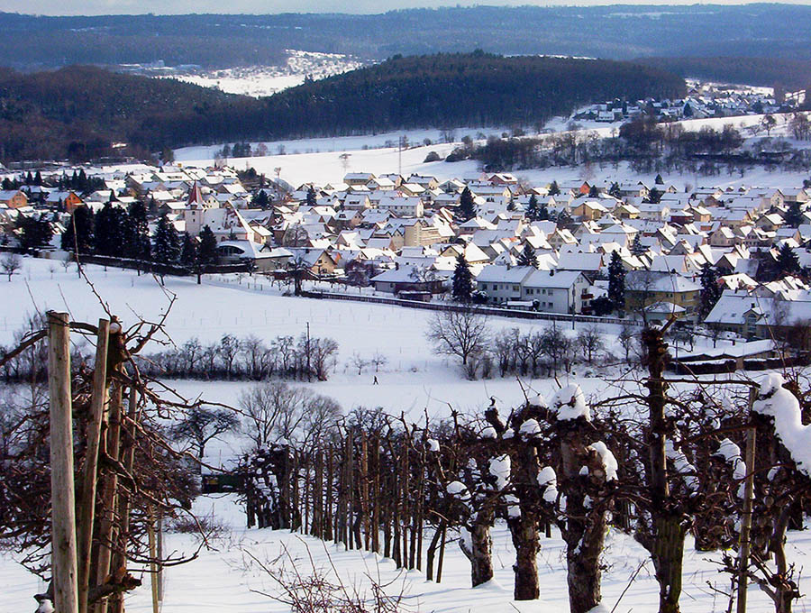 Winter