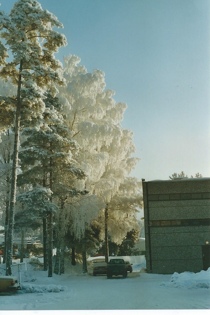 Winter