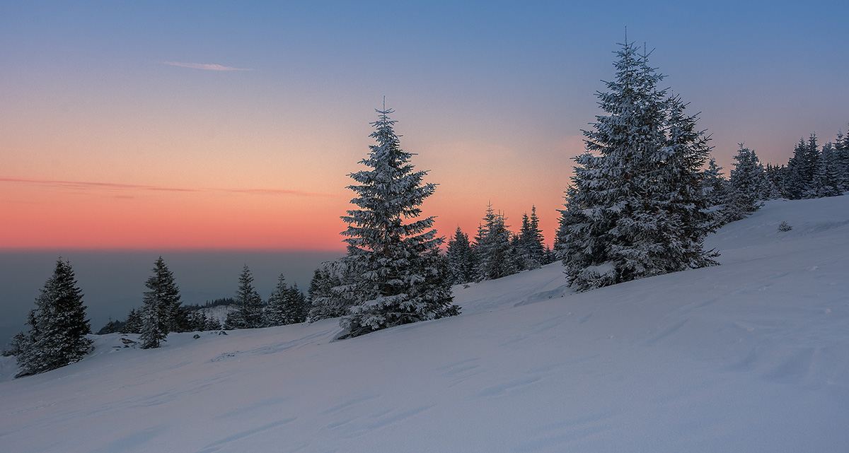 Winter
