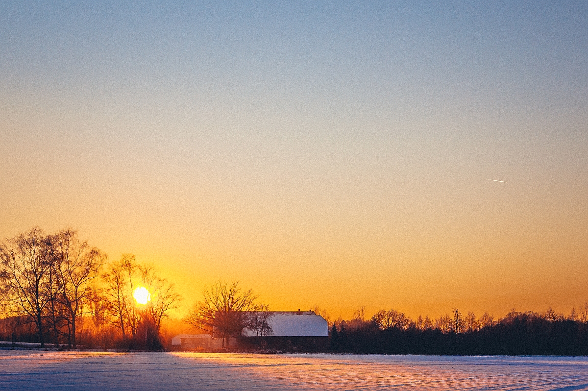 Winter