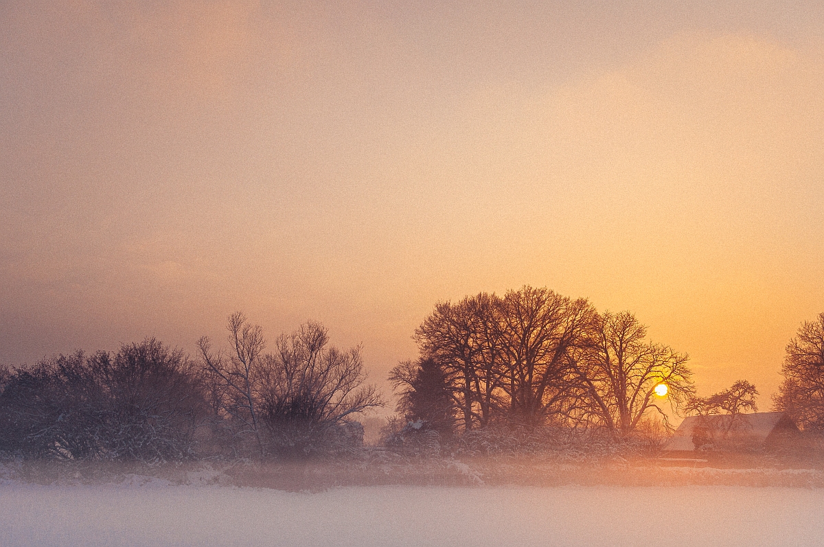 Winter