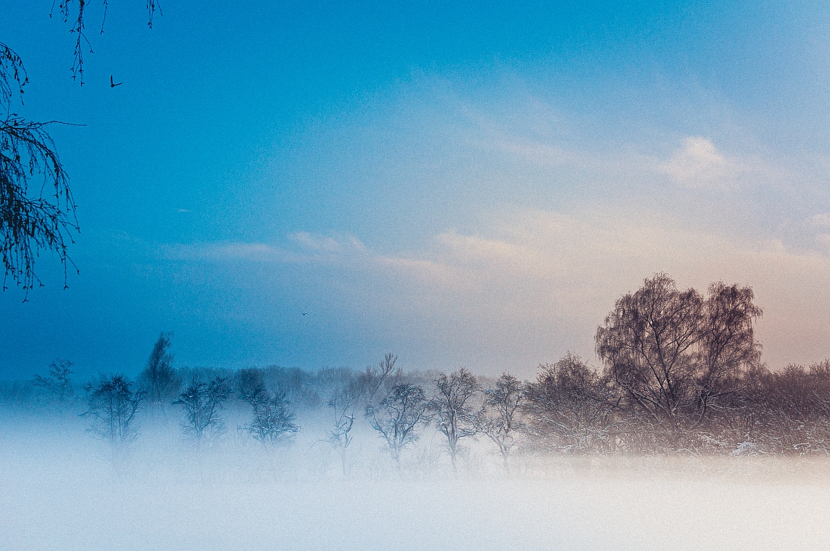 Winter