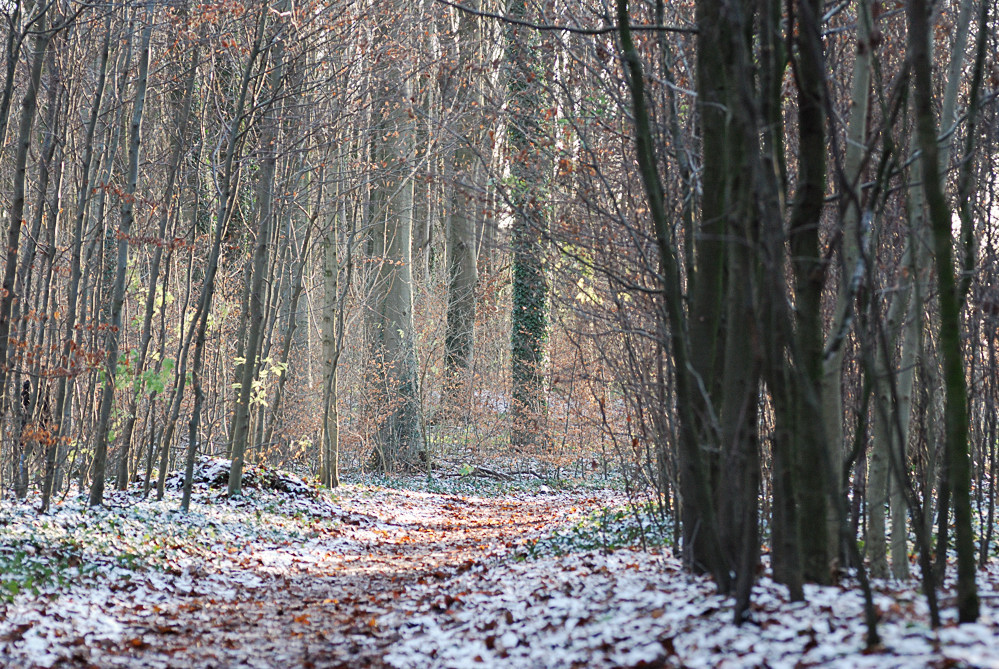 winter