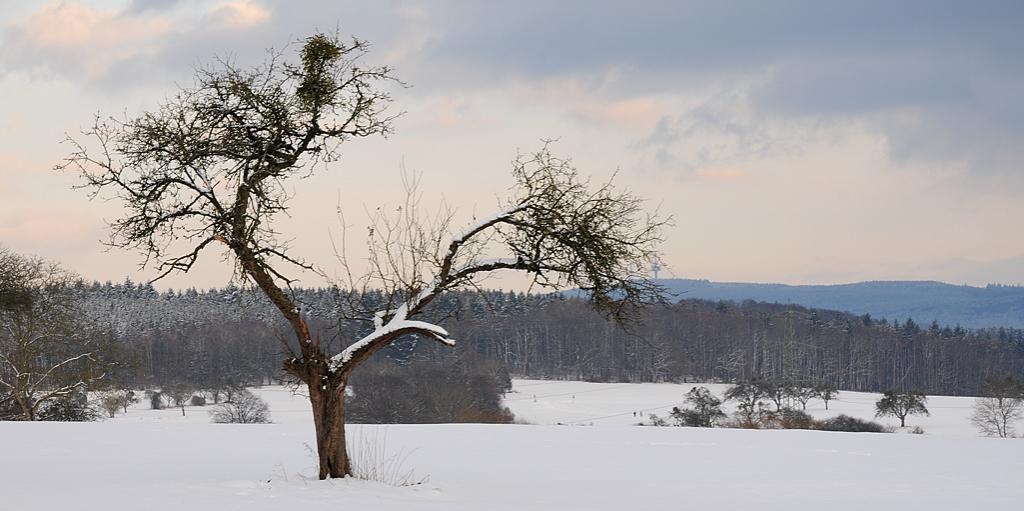 Winter003