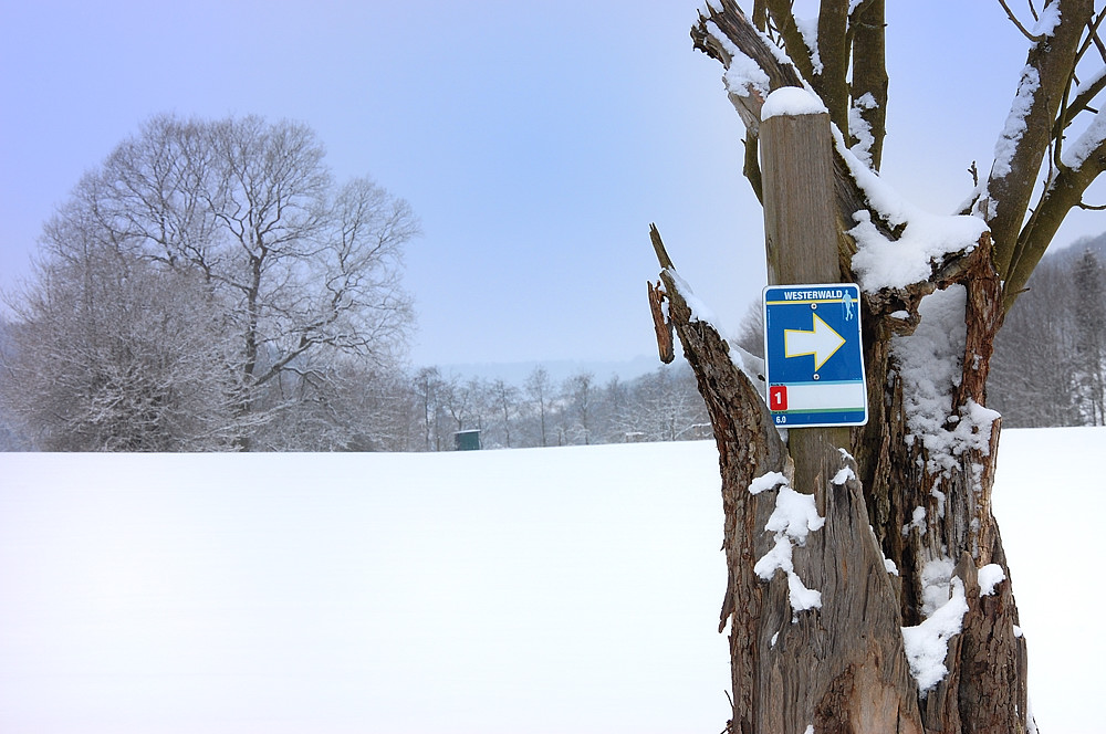 Winter003