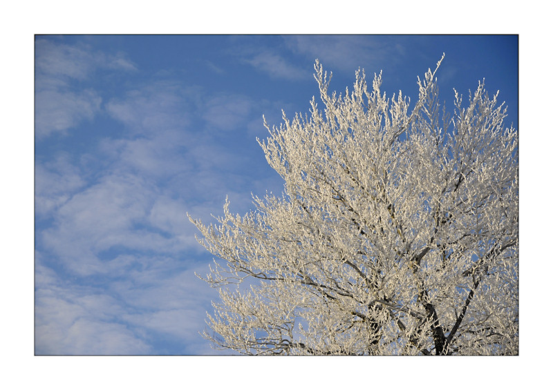 winter1