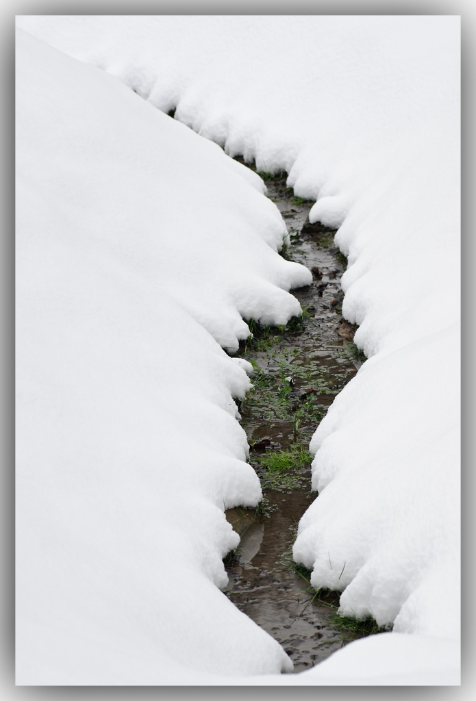 Winter1