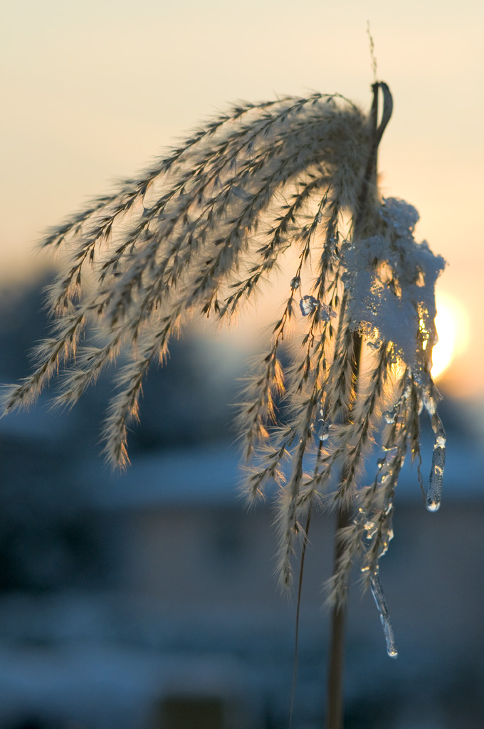 Winter1