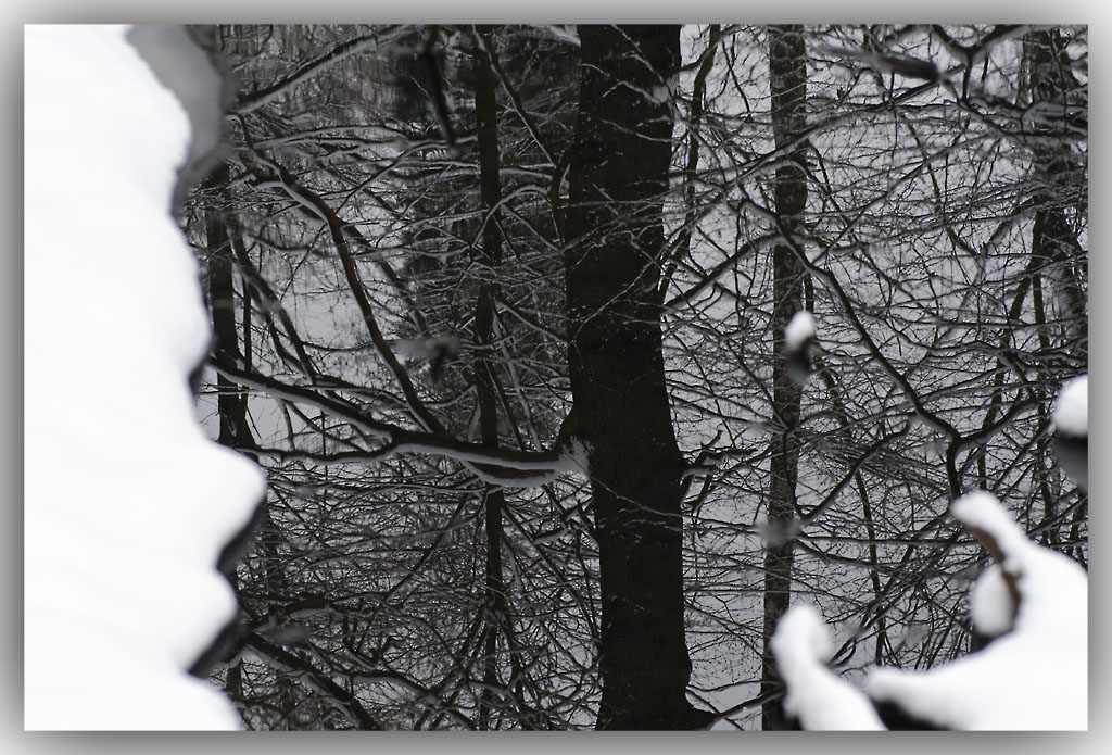 Winter2